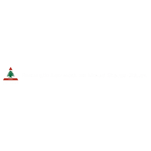 Logo de cliente ou parceiro 11