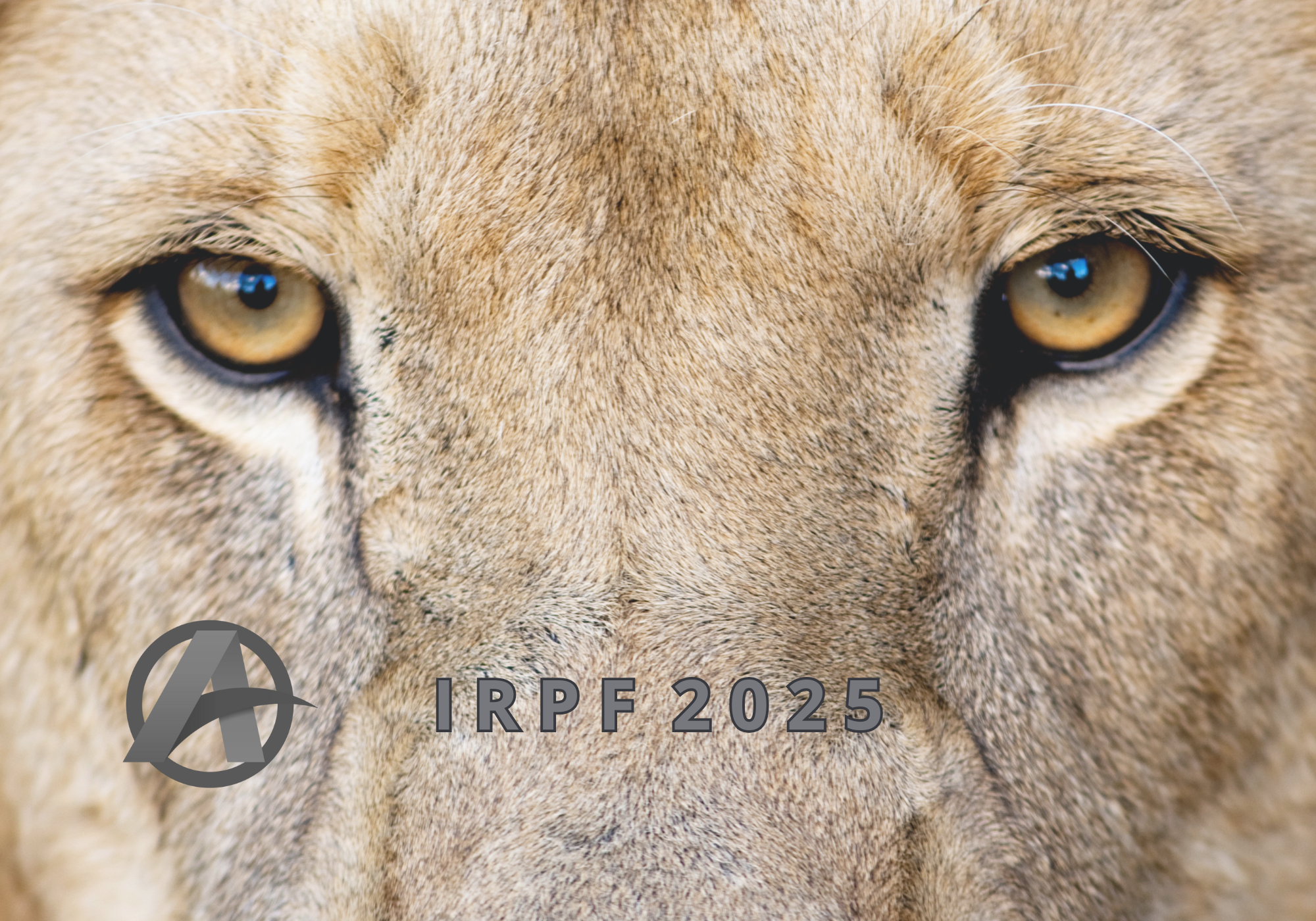 Imposto de Renda Pessoa Física 2025.