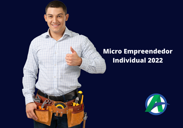 Microempreendedor Individual.
